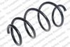 ROC CS8014 Coil Spring